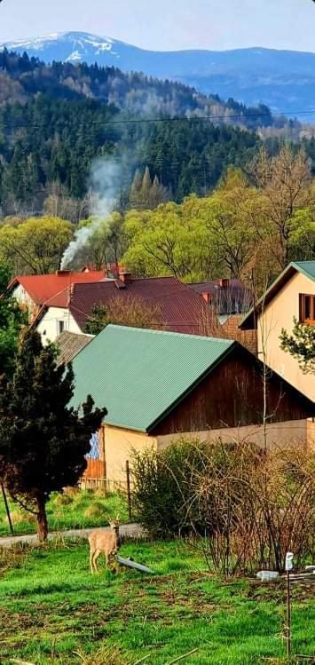 Domek Tuni Villa Pewel Wielka Buitenkant foto